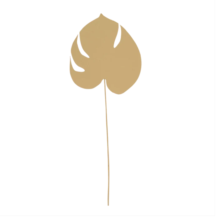 Papier recyclé Planta Monstera - Click & collect