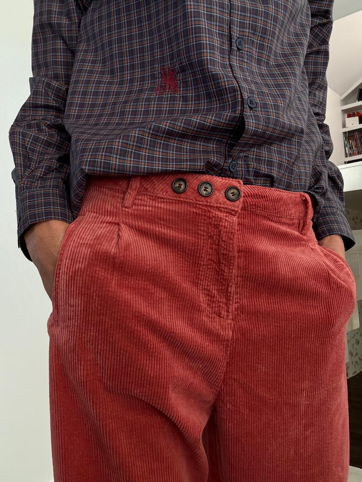 Pantalon carotte Ariety brick