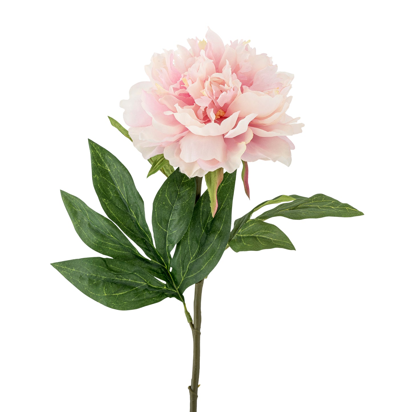 Peony Tige, Rose, Fleurs artificielles