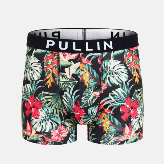 Boxer master dark hawaii - Pullin