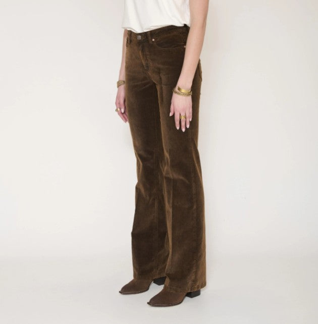 Harley mocha cotton suede pants