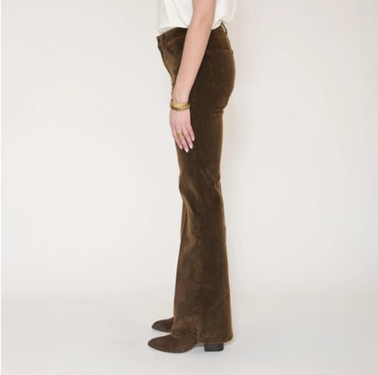 Harley mocha cotton suede pants