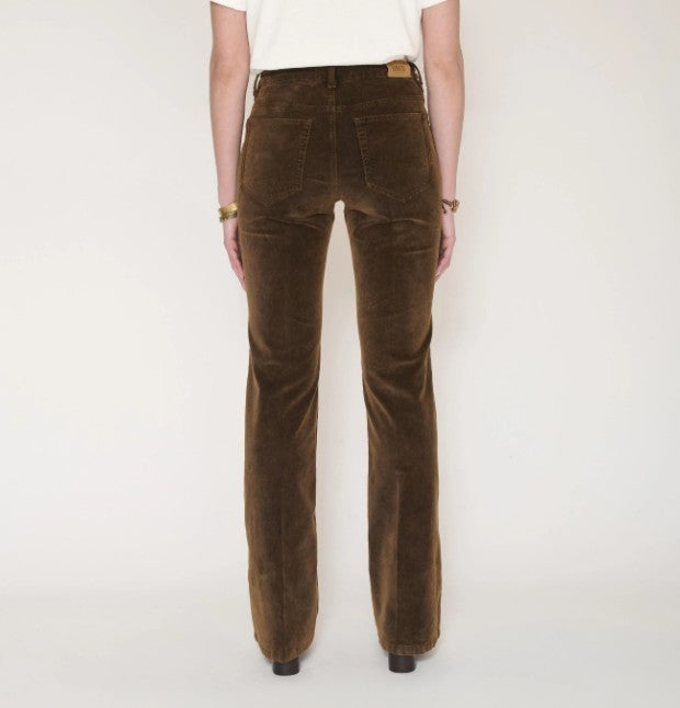 Harley mocha cotton suede pants