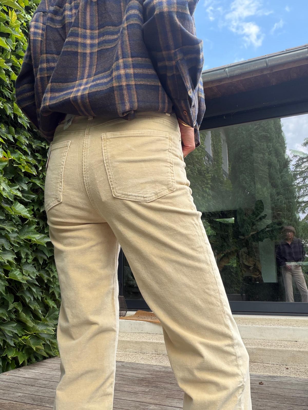 Pantalon velours Neuilly pigment greige